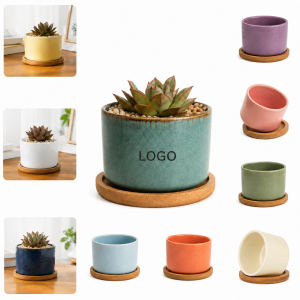 Mini Ceramic Succulent Pot with Bamboo Tray
